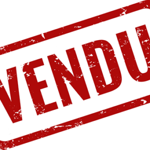 VAE GAZELLE Orange C7+ Bosch Active Line 25km/h