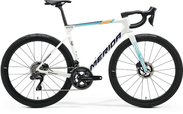 MERIDA Scultura Team TBV 2025